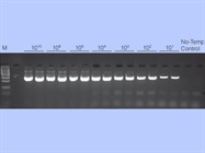 ImProm-II™ Reverse Transcription System from Promega