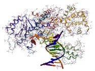 When do you need a high-fidelity DNA polymerase?