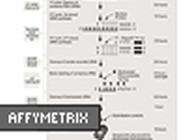 GeneChip® Two-Cycle Target Labeling and Control Reagents From Affymetrix