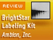 Ambion's BrightStar Psoralen-Biotin Nonisotopic Labeling Kit