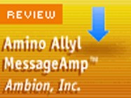 Ambion's Amino Allyl MessageAmp aRNA Kit