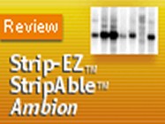 Ambion’s Strip-EZ Probe Synthesis and Removal Kits