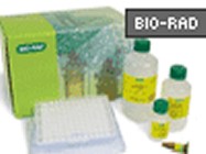 Bio Rad's Bio-Plex system