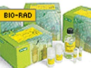 Bio-Rad’s ReadyPrep 2-D Cleanup Kit