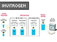 NuPAGE Electrophoresis System From Invitrogen