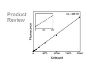 CyQUANT NF Cell Proliferation Kit From Invitrogen