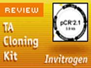 Invitrogen’s TA Cloning Kit (Dual Promoter)