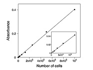 Vybrant MTT Cell Proliferation Assay Kit from Invitrogen