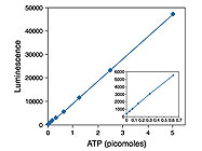 ATP Determination Kit from Life Technologies (Invitrogen)