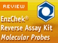 Molecular Probes EnzCheck Reverse Transcriptase Assay Kit