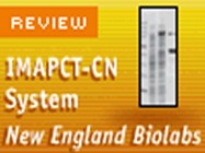 New England Biolab’s IMPACT System