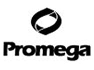 Luciferase Assay System by Promega