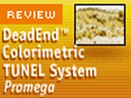 Promega's DeadEnd Colorimetric TUNEL System