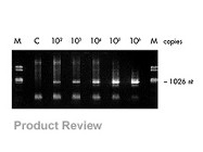 QIAamp® Viral RNA Mini Kit From Qiagen