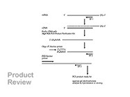5'/3' RACE Kit, 2nd Generation From Roche Applied Science
