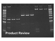 GenElute™ Gel Extraction Kit From Sigma