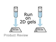 ProteoPrep® Universal Extraction Kit From Sigma