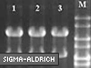 TRI Reagent® From Sigma-Aldrich