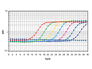 SYBR® Green JumpStart™ Taq ReadyMix™ from Sigma-Aldrich