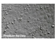 GeneJuice® Transfection Reagent From Novagen