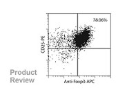 Human CD4+ CD25+ Regulatory T Cell Isolation Kit From Miltenyi Biotec