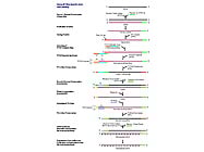 RampUP RNA Amplification Kit From Genisphere