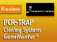 PCR-TRAP Cloning System from GenHunter