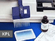 SureBlue TMB 1-Component Microwell Peroxidase Substrate for ELISAs From KPL
