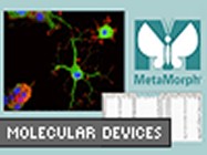 MetaMorph® From Molecular Devices (now part of MDS Analytical Technologies)