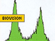 BioVision Caspglow Red Active Caspase Staining Kit