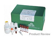 EZ DNA Methylation-Gold Kit™ From Zymo Research