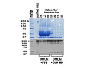 CDM HD, Chemically Defined Medium High Density Serum Replacement From FiberCell Systems, Inc.