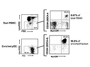 EasySep® Human Plasmacytoid DC Enrichment Kit from StemCell Technologies