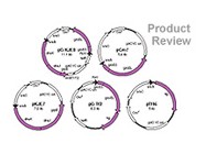 Chaperone Plasmid Set From Takara Mirus Bio