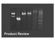 Single Tube PCR Kit From Takara Bio