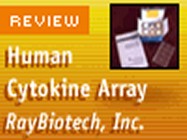 Raybio's Cytokine Antibody Array