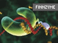 Finnzyme’s Phusion DNA Polymerase