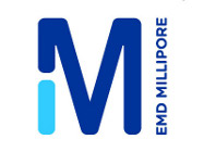 Mouse Anti-IGF Receptor Monoclonal Antibody from EMD Millipore, used in Immunofluorescence