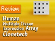 Clontech’s Multiple Tissue Expression Array