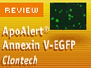 Clontech's ApoAlert® Annexin V-EGFP Apoptosis Kit