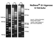 NuSieve 3:1 from Lonza