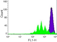 CellTrace CFSE Cell Proliferation Kit for Flow Cytometry from Life Technologies (Molecular Probes/Invitrogen)