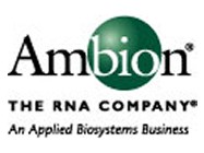 RNAi For High Throughput Analysis