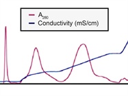  Ion Exchange Chromatography