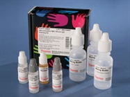  ImmunoPure® Ultra-Sensitive ABC Peroxidase Rabbit IgG Staining Kit from Thermo Pierce