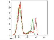 Planning and Preparation Are Key to Successful Flow Cytometry