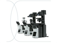 IX3 Series Inverted Microscopes