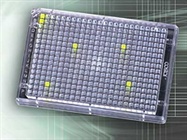  Factors to Think About Before Purchasing a Fluorescence Plate Reader