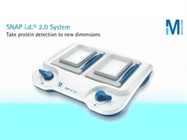 SNAP i.d. 2.0: Rapid immunodetection for western blotting in 30 minutes or less - From MilliporeSigma