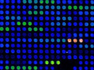  4 Tips for Optimizing Your Microarray Workflow